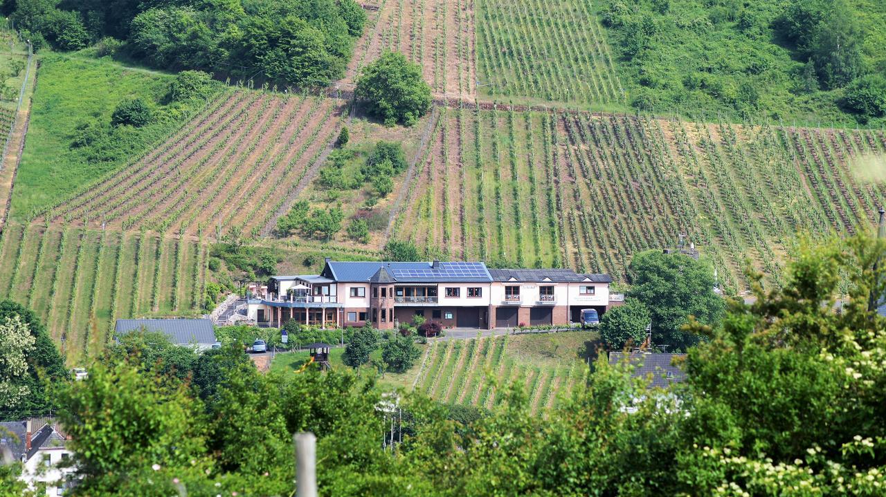 Urlaubsweingut Zecherhof Neef Exteriör bild