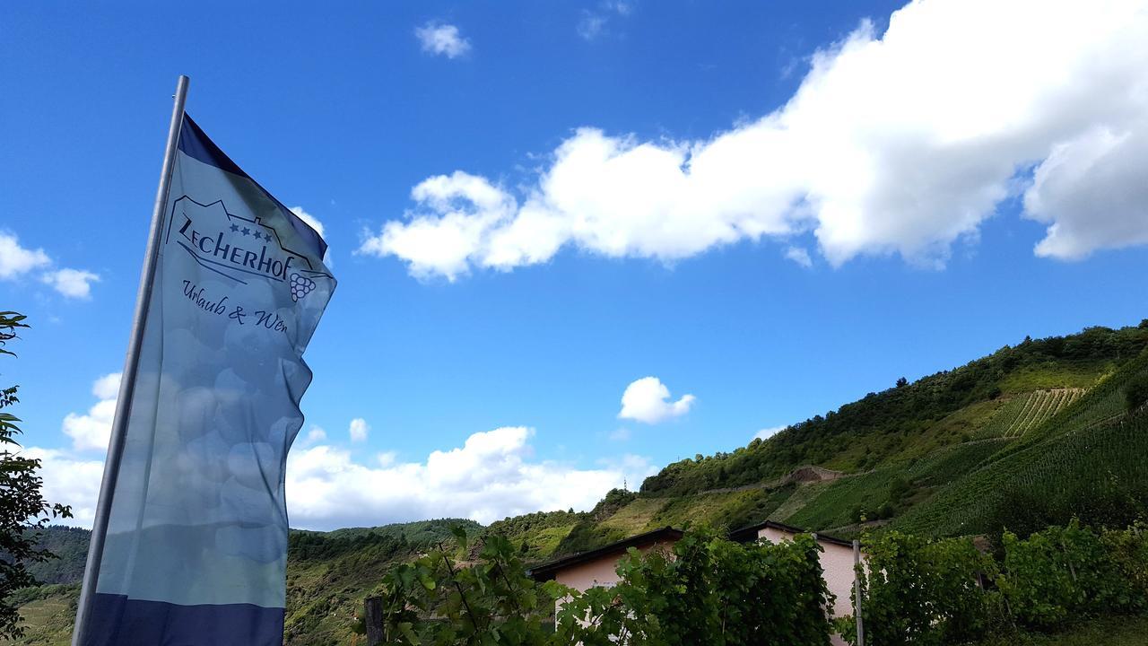 Urlaubsweingut Zecherhof Neef Exteriör bild